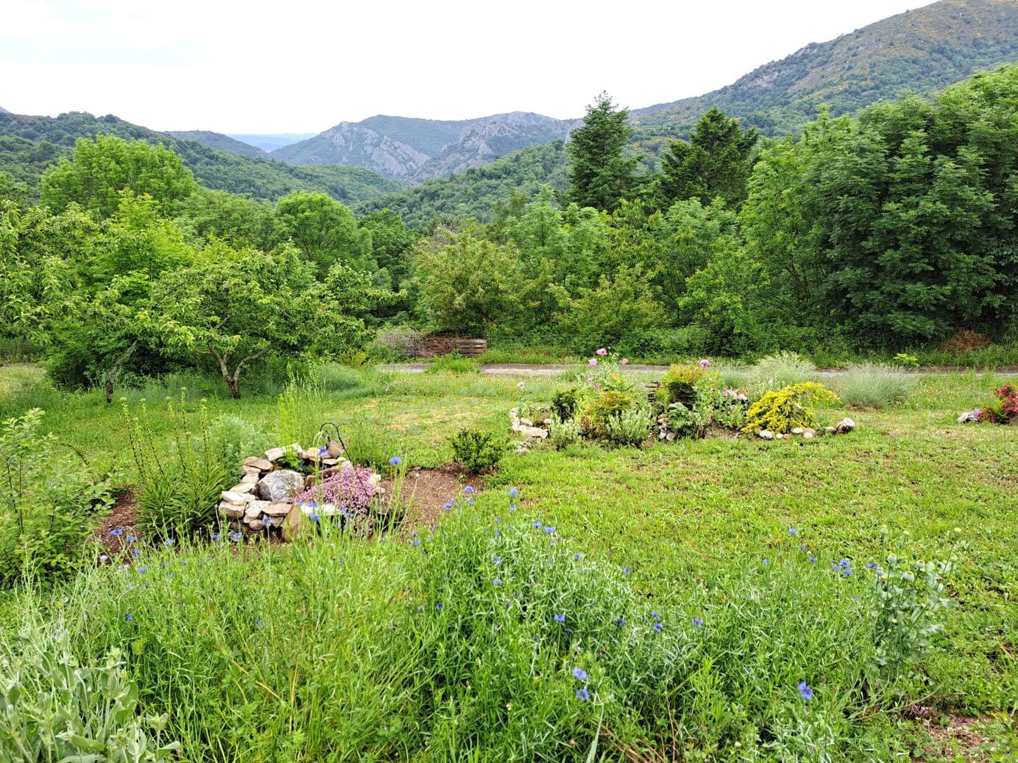 La Bouletiere Bed & Breakfast Dourbies Exterior photo